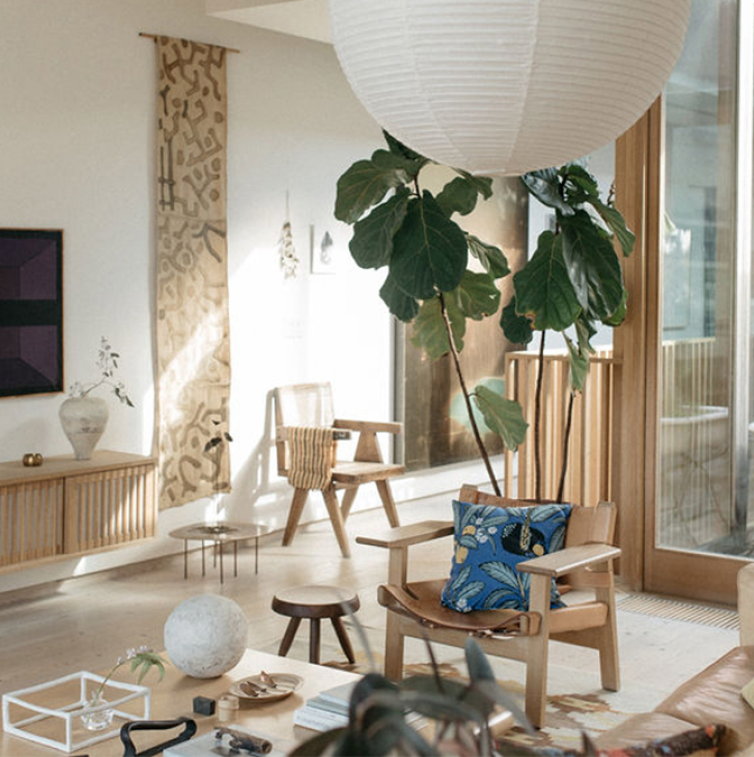 Mjolk Home